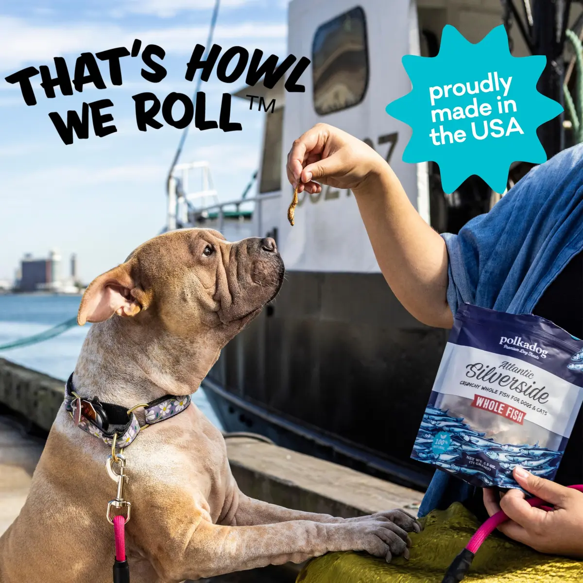 Polkadog Atlantic Silverside Whole Fish Dog Treats 2.5oz | Single Ingredient, Hypoallergenic & High Protein - view 6