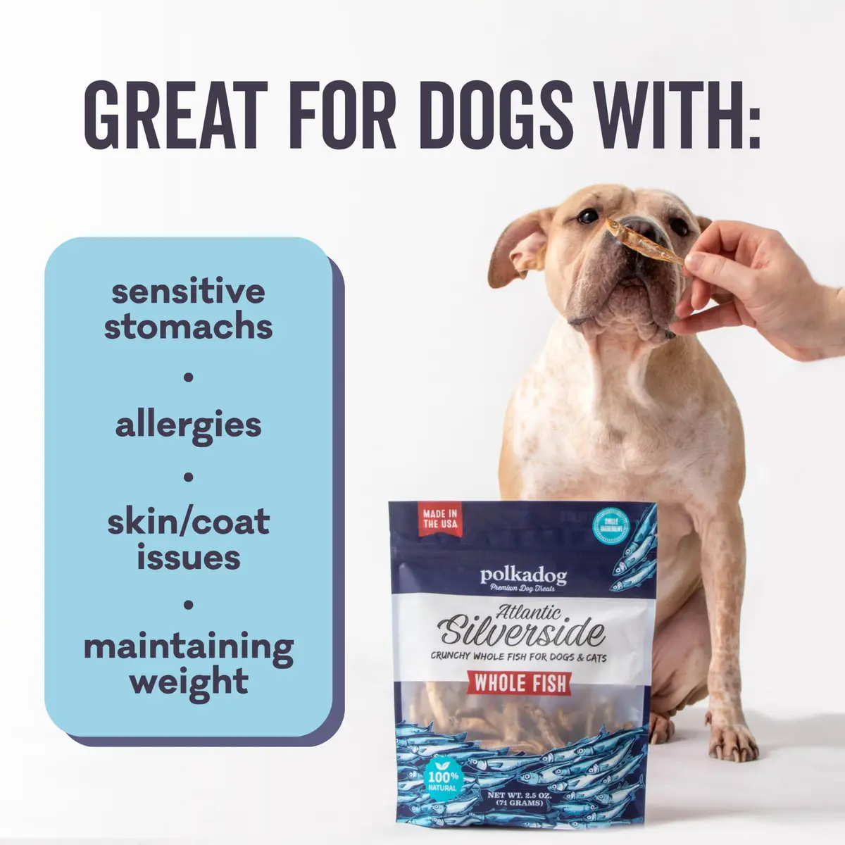 Polkadog Atlantic Silverside Whole Fish Dog Treats 2.5oz | Single Ingredient, Hypoallergenic & High Protein - view 4