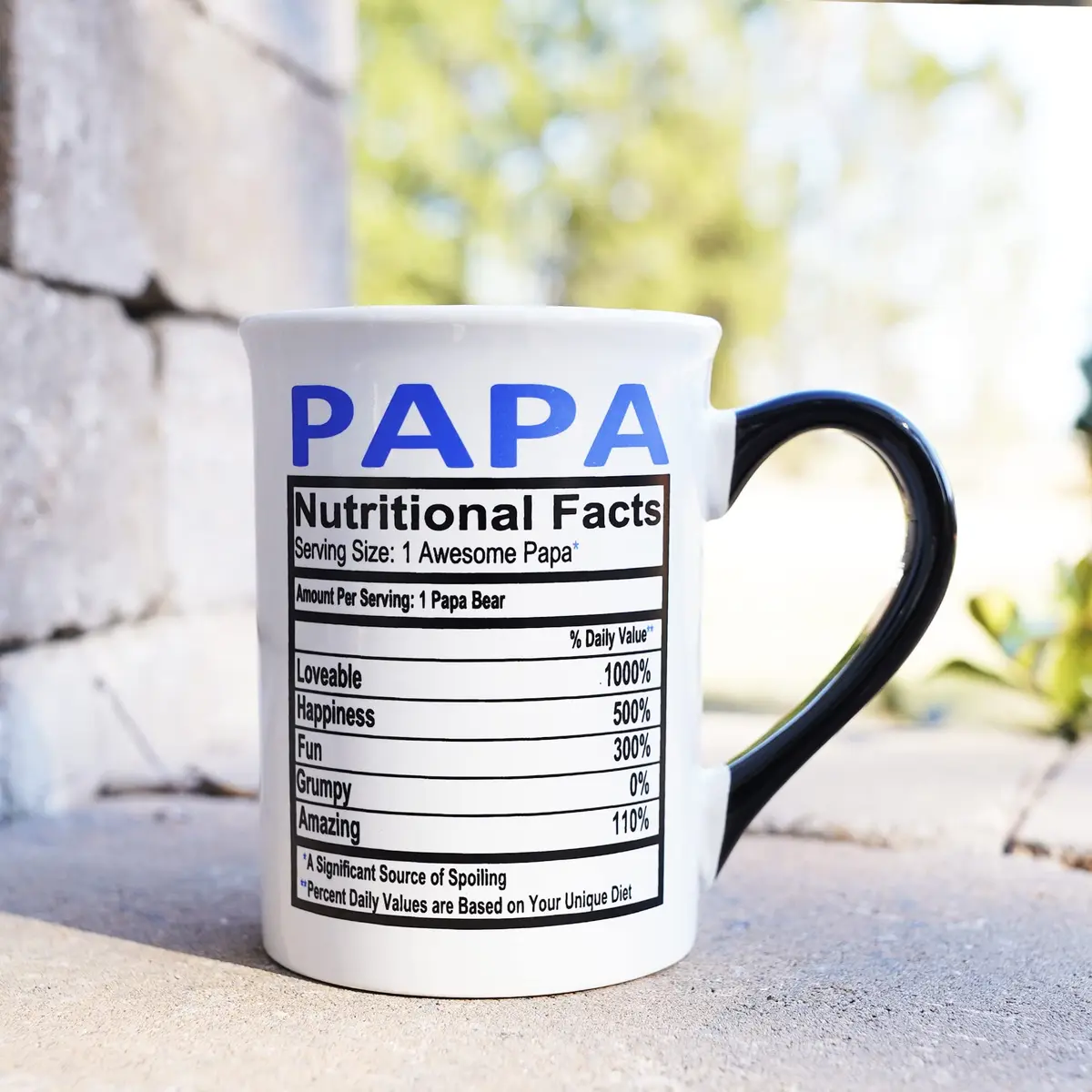 Cottage Creek 16oz Papa Mug, Ceramic Coffee Cup | Large Dad & Grandpa Gift (110 chars) - view 5