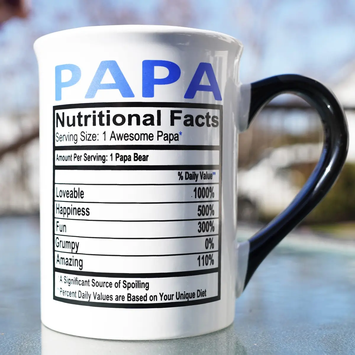 Cottage Creek 16oz Papa Mug, Ceramic Coffee Cup | Large Dad & Grandpa Gift (110 chars) - view 6
