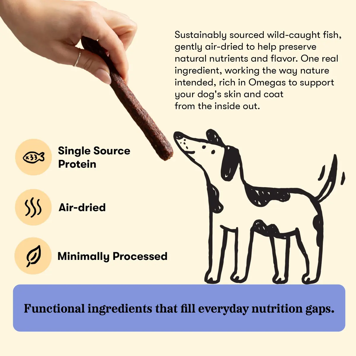 PLATO Meat Sticks Lamb Dog Treats 10 oz | High-Protein Air-Dried Soft Chews with Omega Fish Oil - view 5