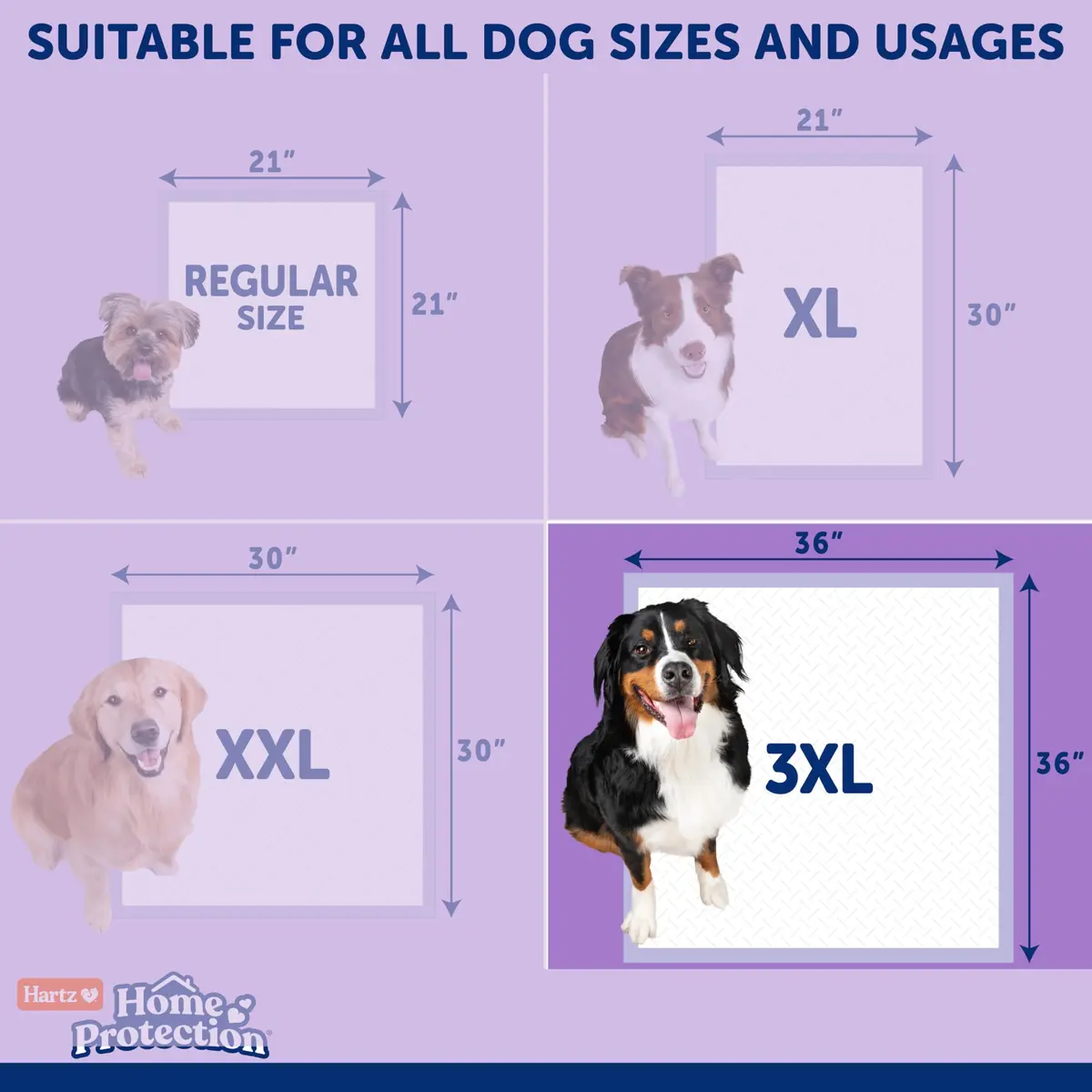 Hartz Dog Pads 3XL 36 x 36 | Odor-Free Lavender Scent, 60ct, Made in USA - view 7