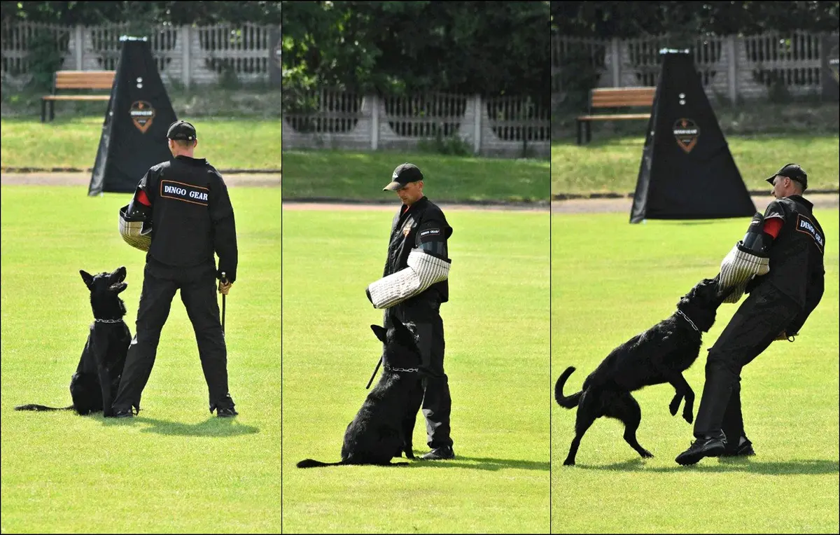 Dingo Gear Rocky Right Bite Sleeve Hard Wide Bite Bar 80cm (Black) | Ideal for K9 Training - view 3