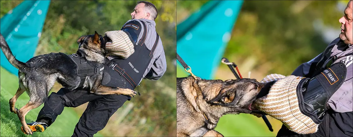 Dingo Gear Right Bite Sleeve Soft Thick Wide Bite Bar | Impact Protection for Dog Training - view 7