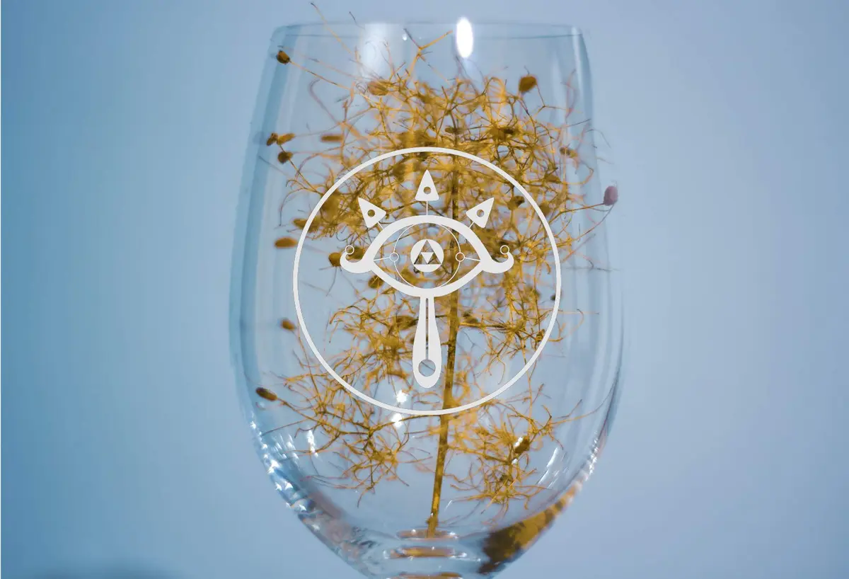 Hat Shark Truthful Eye Legendary Royal Ninja Tribe Video Game Parody - Laser Engraved Stemless Wine Glasses | 21 oz Dishwasher Safe - view 3