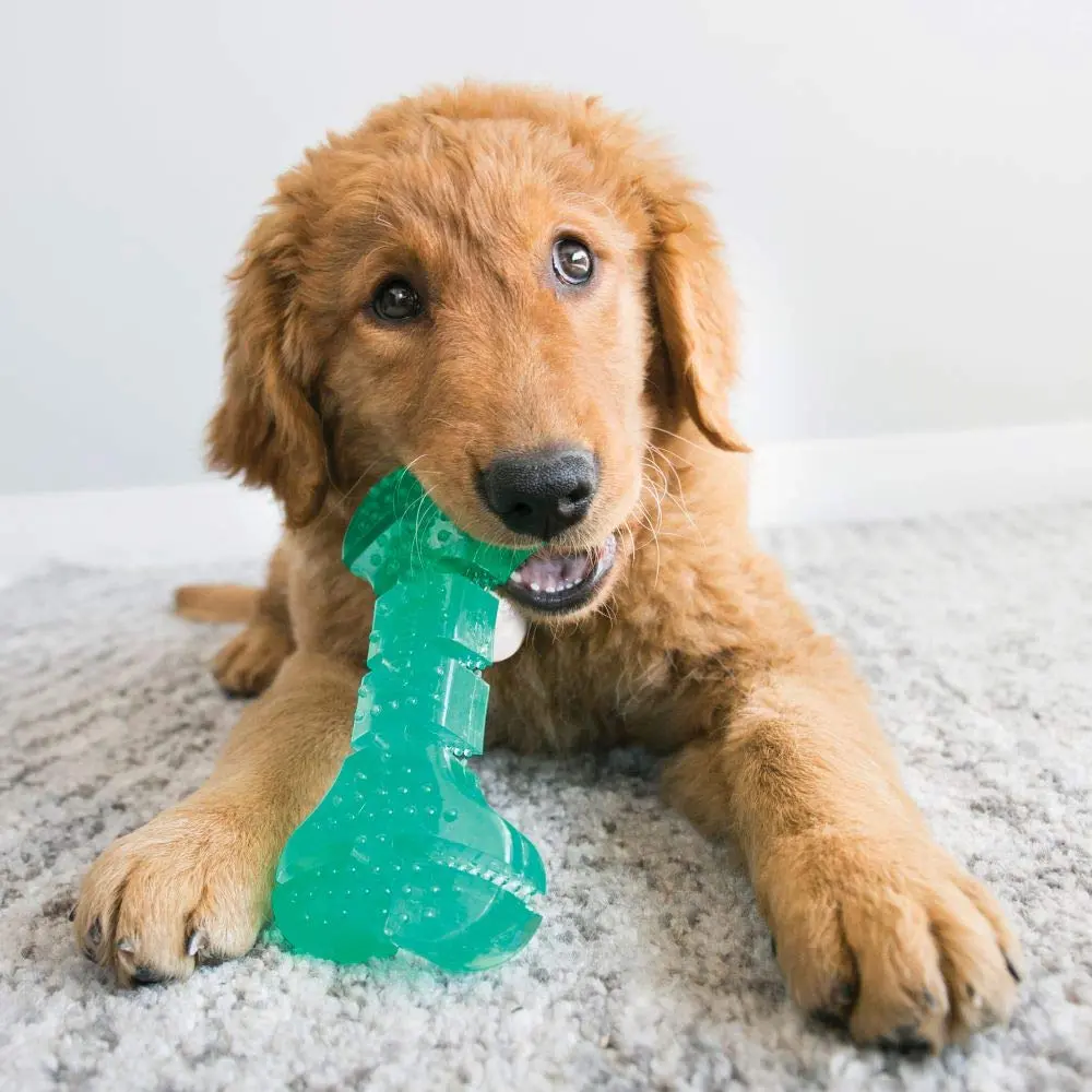 KONG Squeezz Dental Ball for Medium/Large Dogs | Flexible Teeth Cleaning Chew Toy - view 2