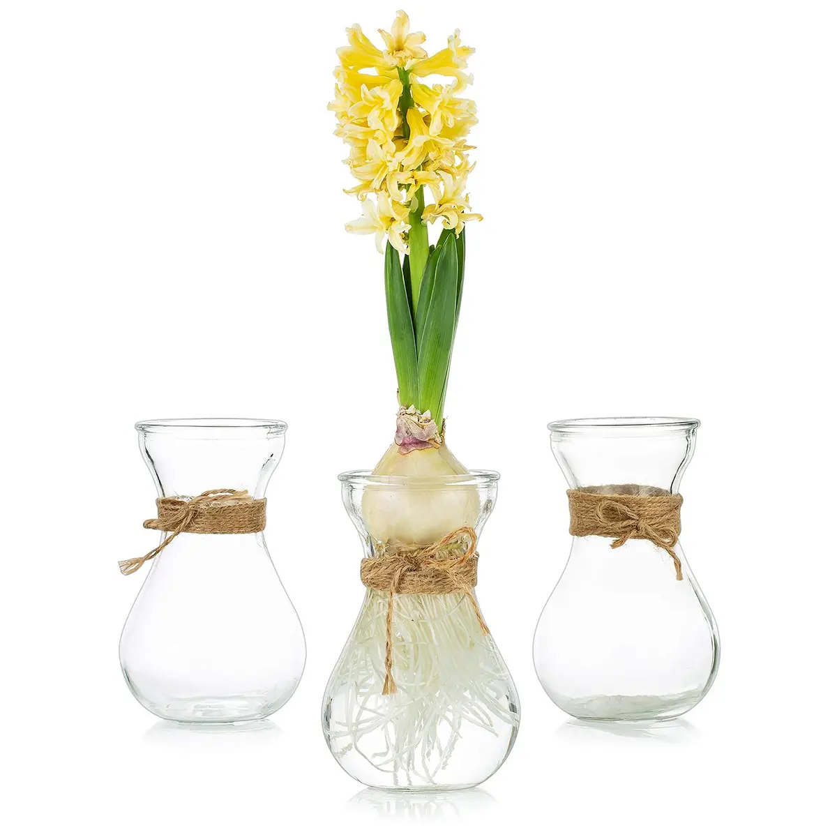 Glasseam Hyacinth Bulb Forcing Vases Set of 3, Small Glass Vase for Flowers | Modern Minimalist Transparent Design - main product image
