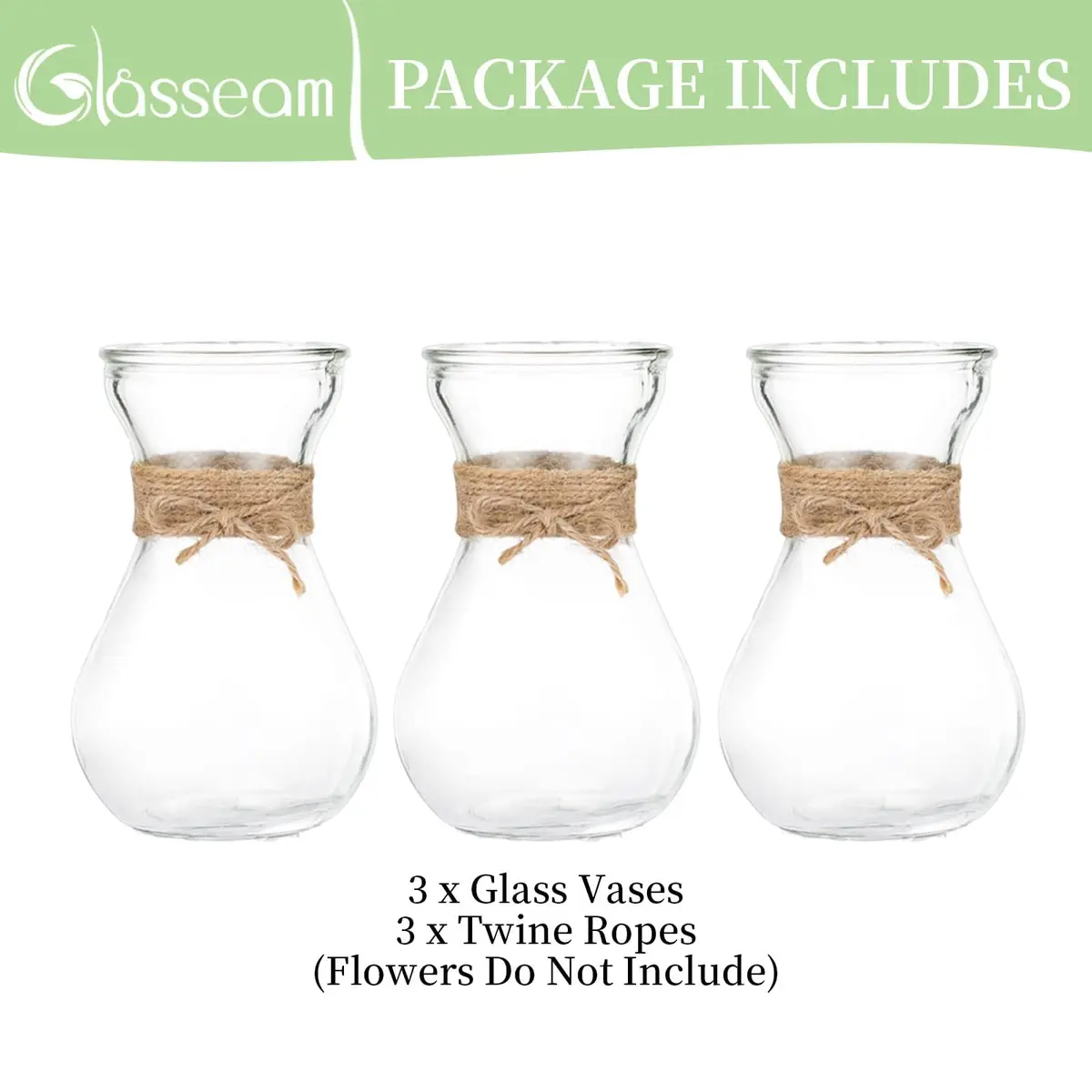 Glasseam Hyacinth Bulb Forcing Vases Set of 3, Small Glass Vase for Flowers | Modern Minimalist Transparent Design - view 6