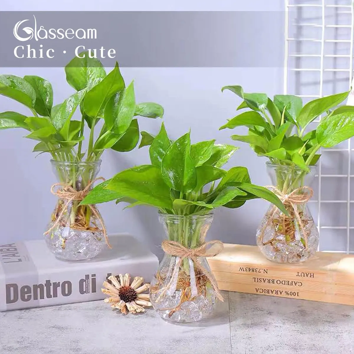 Glasseam Hyacinth Bulb Forcing Vases Set of 3, Small Glass Vase for Flowers | Modern Minimalist Transparent Design - view 7