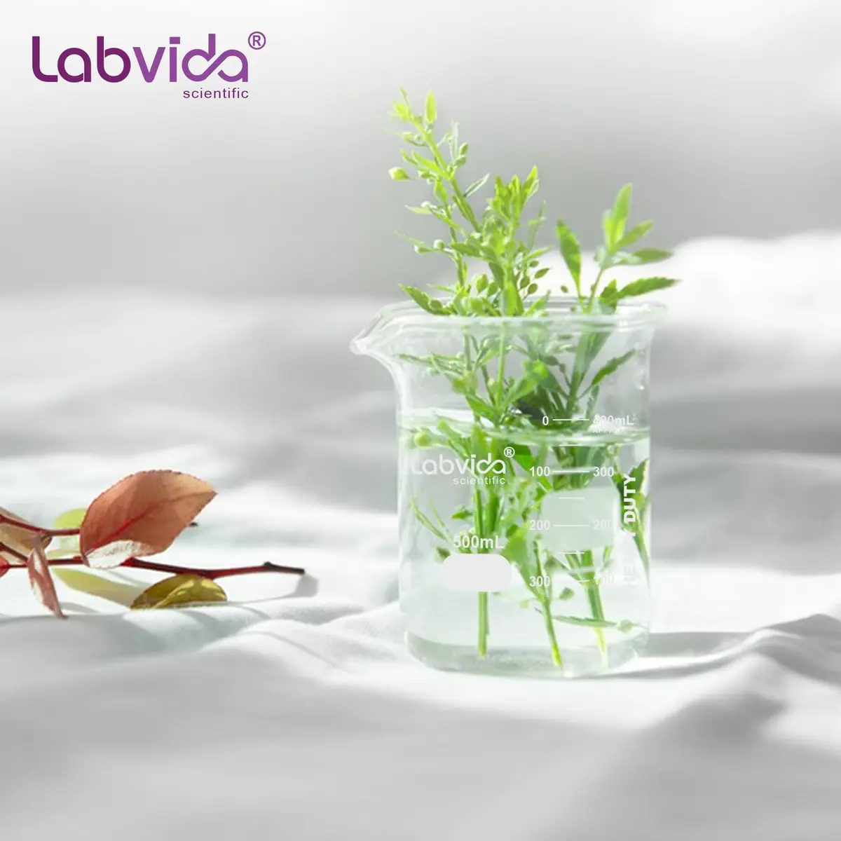 Labvida 4pcs 250ml Borosilicate Glass Beakers | ASTM E960 Compliant, Heat Resistant, Chemical Resistant, 250ml Capacity - view 7