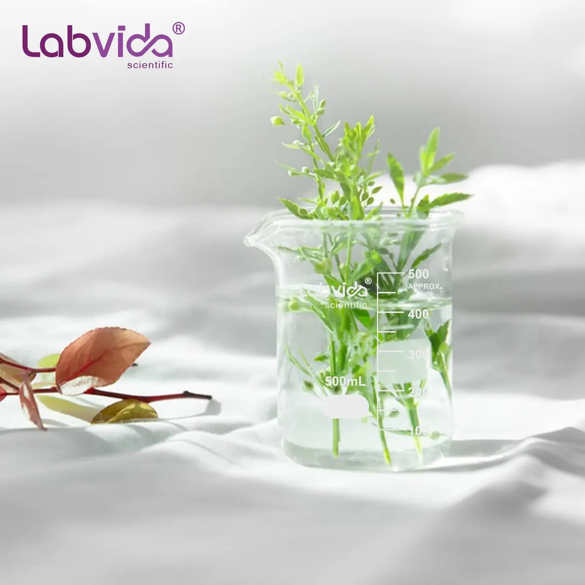 Labvida 6pcs 150ml Borosilicate Glass Beakers | ASTM E960 Compliant, Heat Resistant, Chemical Resistant, Spout & Graduation (120c) - view 9