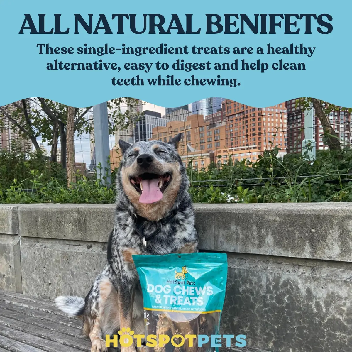 hotspot pets All-Natural Beef Cow Ears Dog Chews (10 Pack) Long-Lasting, Low Odor, Single Ingredient Treat for Healthy Teeth & Gums - view 8
