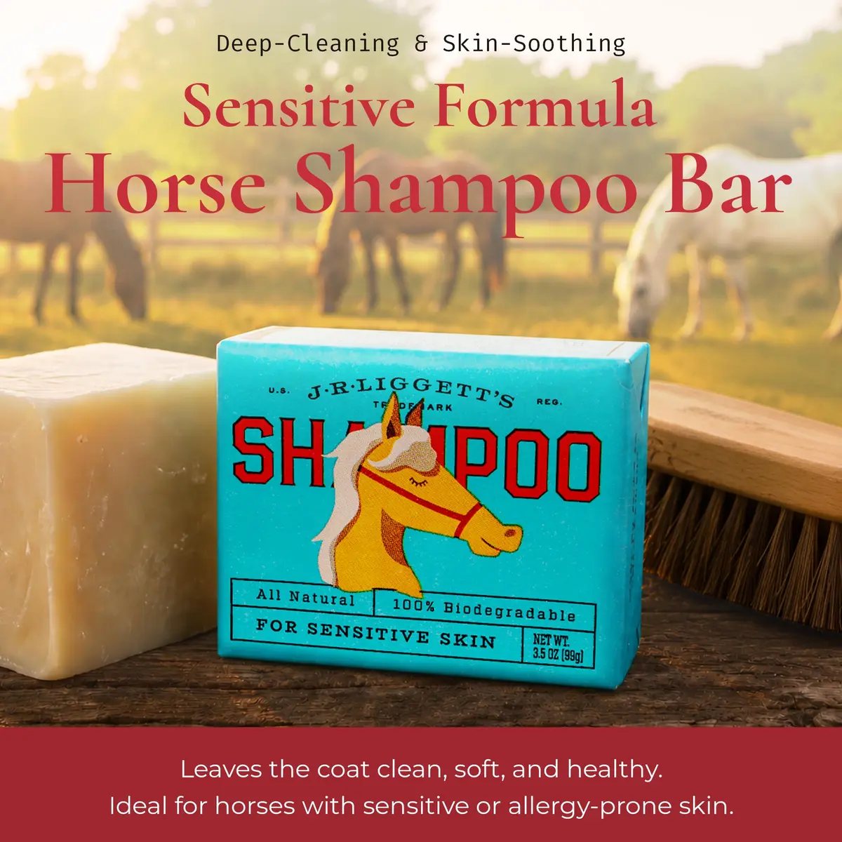 J·R·LIGGETT'S Horse Shampoo Bar 3.5 oz | Gentle, Detergent-Free Coat & Mane Cleanser - view 2