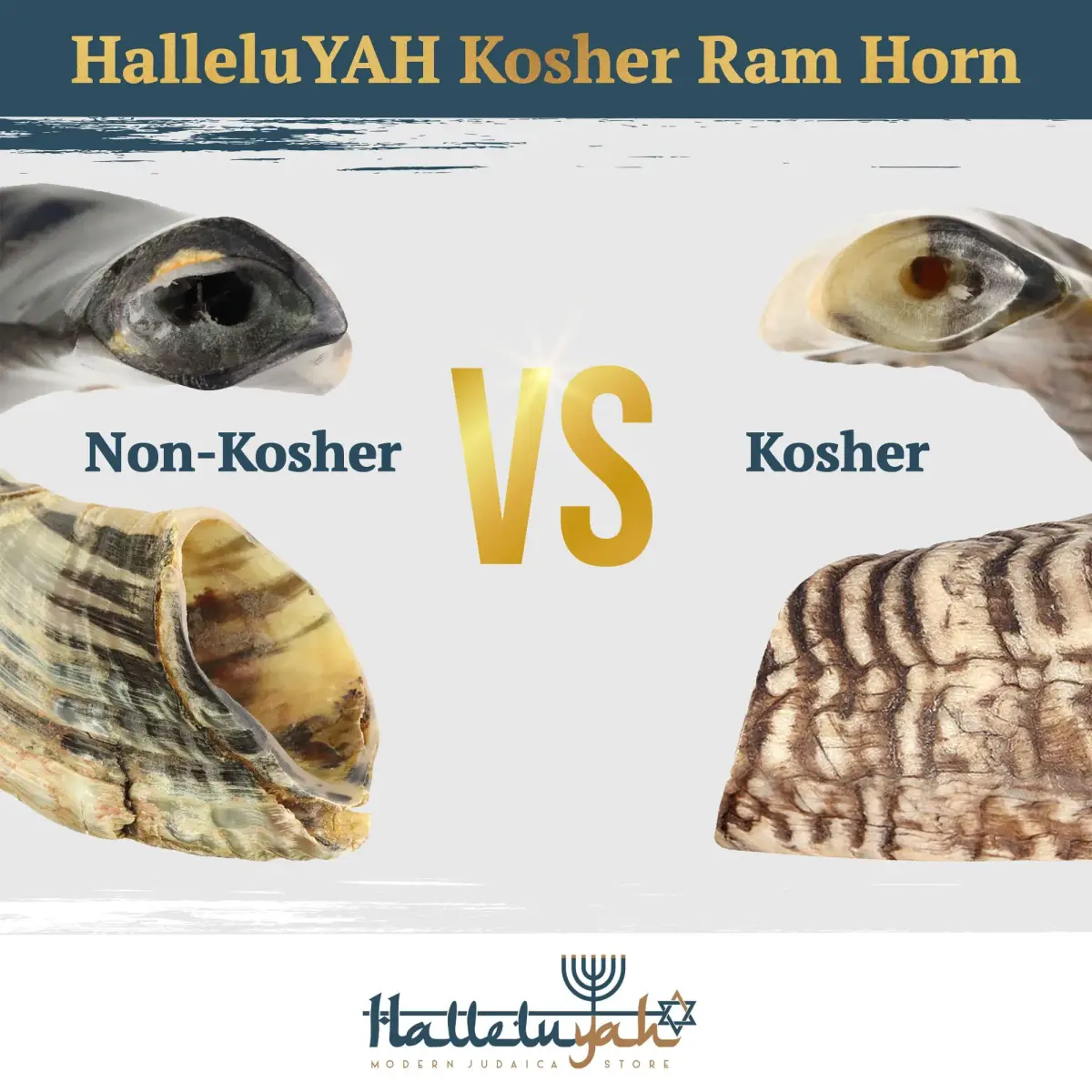 HalleluYAH Ram Horn Shofar 30-35 cm (12"-14") | Authentic Kosher Musical Instrument from Israel - view 6