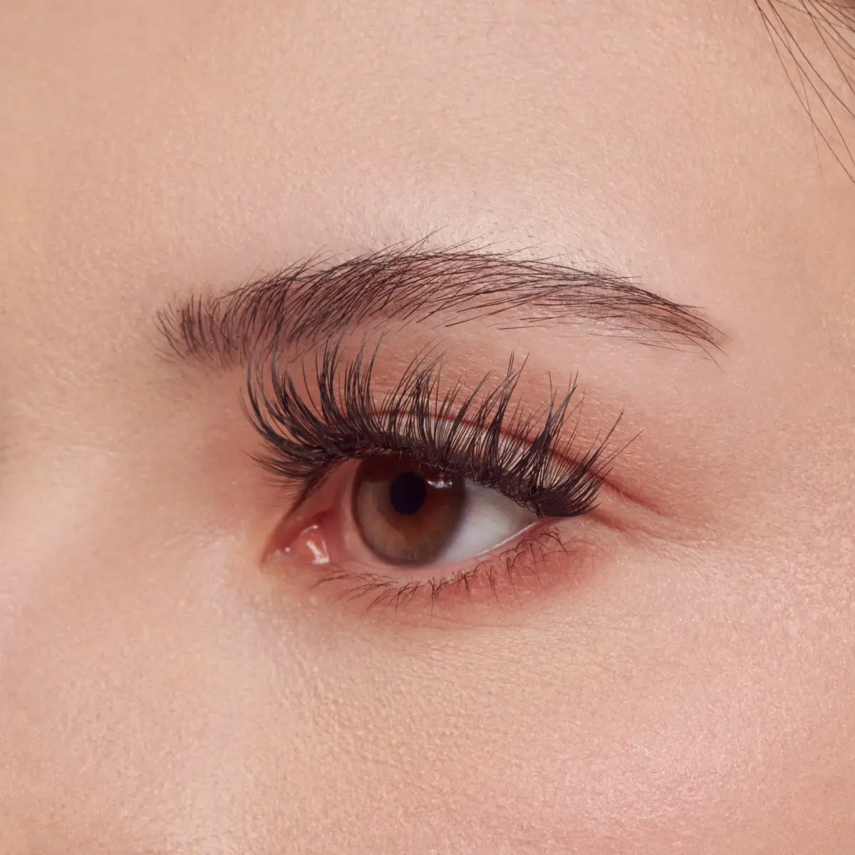 KISS Lash Couture LuXtensions False Eyelashes, Royal Satin, 1 Pair, 10mm Flat Lash | Natural Look Reusable D/C/J Curl Mix - view 3