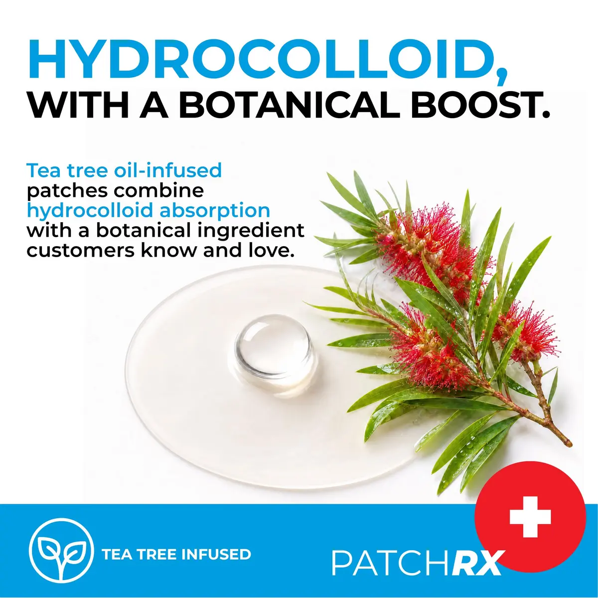 PatchRx Pimple Patches Hydrocolloid with Tea Tree Oil 120 Patches | Fast Acne Spot Relief for Face - view 6