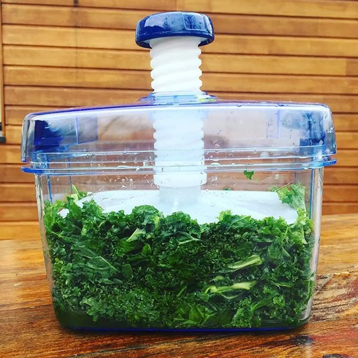 IPPINKA Japanese Pickle Maker 1.6L | BPA-Free, Made in Japan, Clear x Blue - view 5