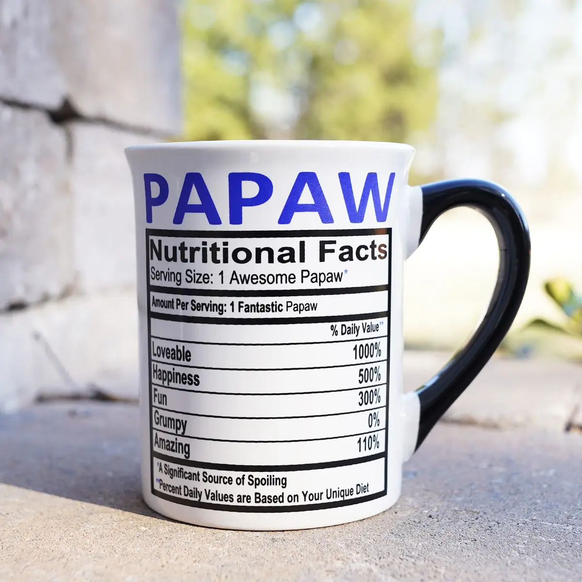 Cottage Creek Papaw Coffee Mug 16oz Ceramic Coffee Cup | Dad & Grandpa Gift with Sentimental Message - view 5