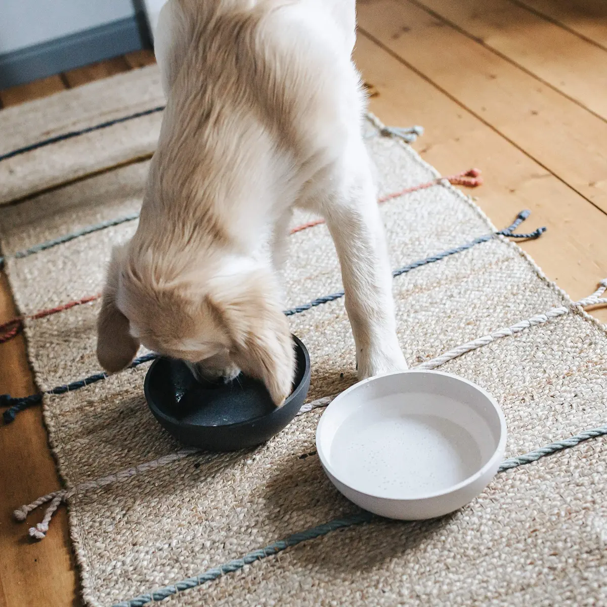 District 70 Bamboo Dog Bowl Large Merengue 1600ml (54.1 Fl Oz) | Non-Slip Base for Large Dogs - view 2