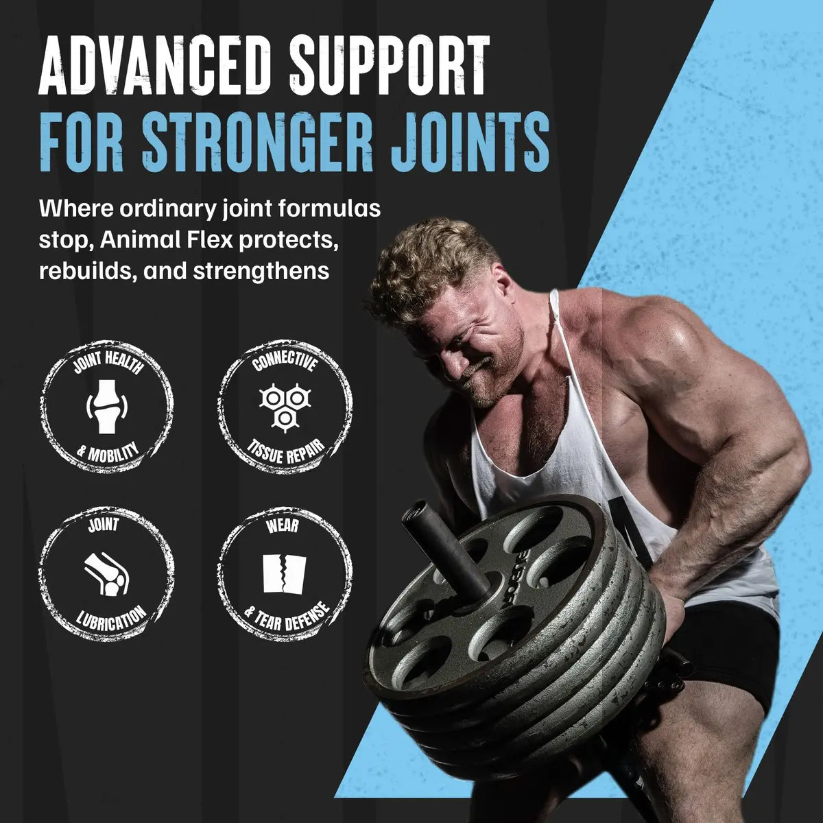 Animal Flex Joint Support Supplement Powder Cherry Berry 348g (13 oz) | Glucosamine & Chondroitin for Joint Health - view 3