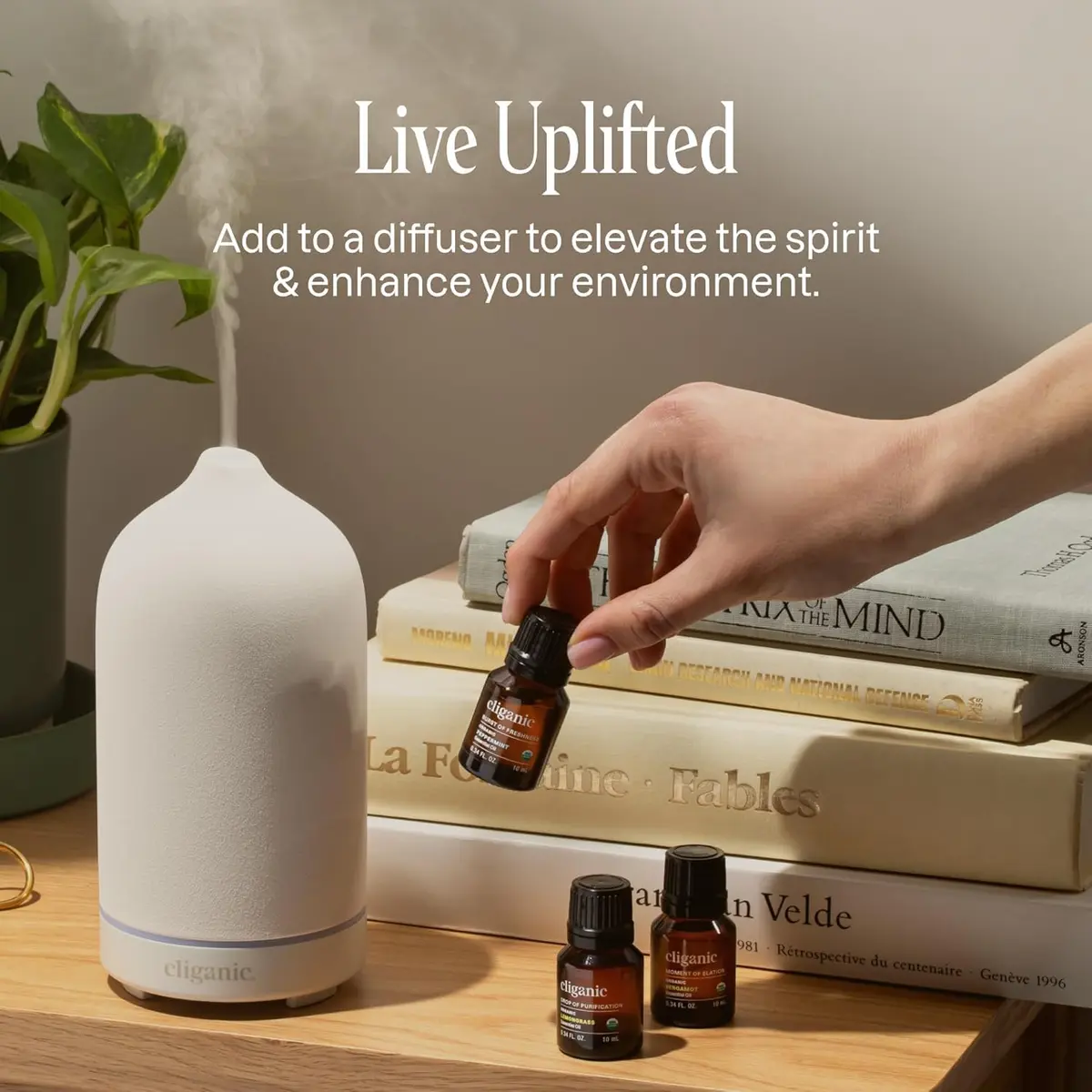 Cliganic Organic Cedarwood Essential Oil for Diffuser, 30ml (1 Fl Oz) | USDA Organic Certified, Pure & Multipurpose - view 5