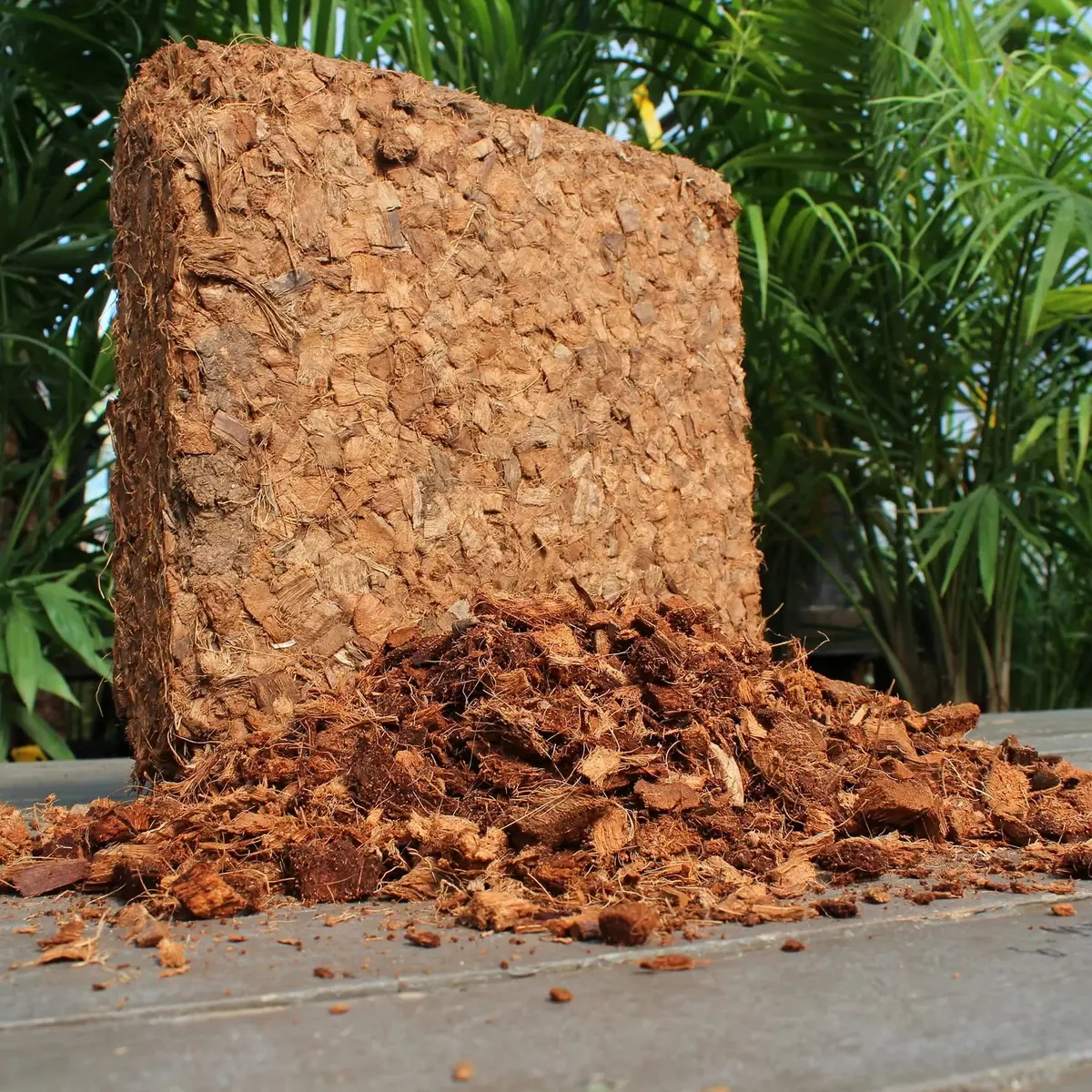 plantonix Coco Chips Mulch Brick (10lbs) | Organic Moisture Retention for Gardens - view 7