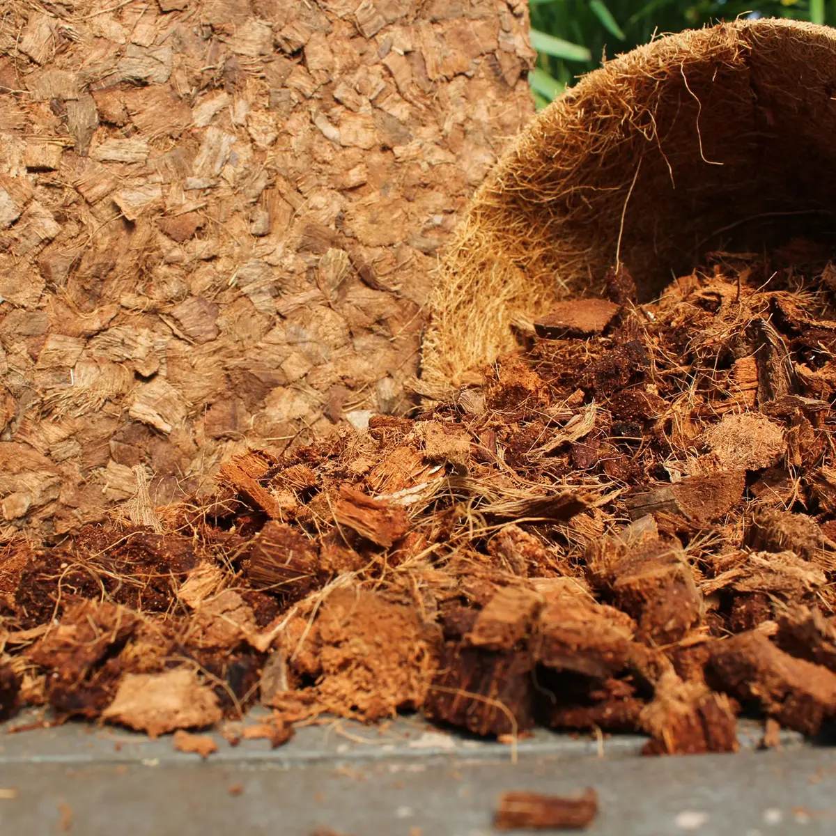 plantonix Coco Chips Mulch Brick (10lbs) | Organic Moisture Retention for Gardens - view 8