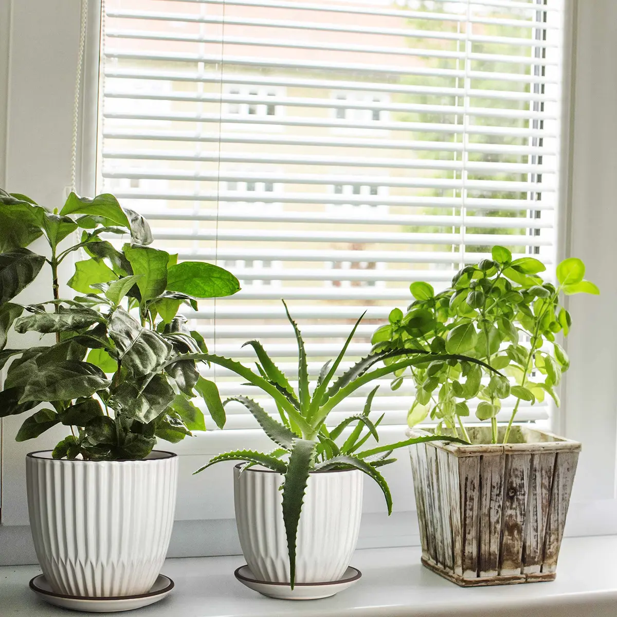 D'vine Dev 2-Pack Stoneware Planter Pots, 4.5 in & 5.8 in, Ivory | Modern Ribbed Ceramic Indoor Planters - view 5