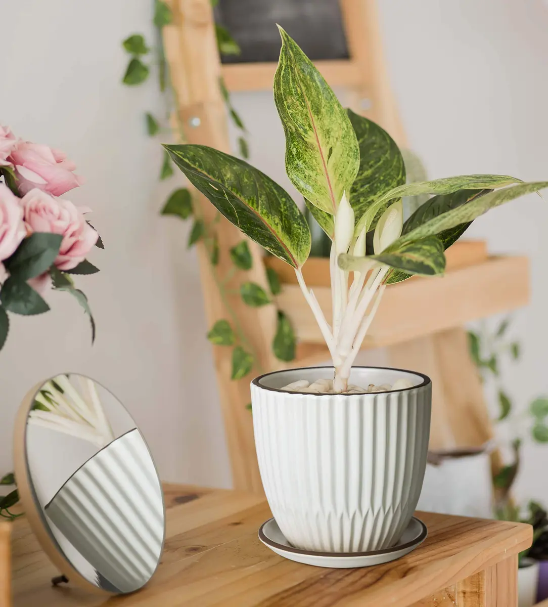 D'vine Dev 2-Pack Stoneware Planter Pots, 4.5 in & 5.8 in, Ivory | Modern Ribbed Ceramic Indoor Planters - view 6