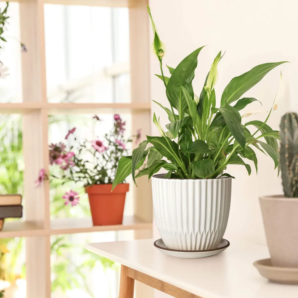 D'vine Dev 2-Pack Stoneware Planter Pots, 4.5 in & 5.8 in, Ivory | Modern Ribbed Ceramic Indoor Planters - view 2