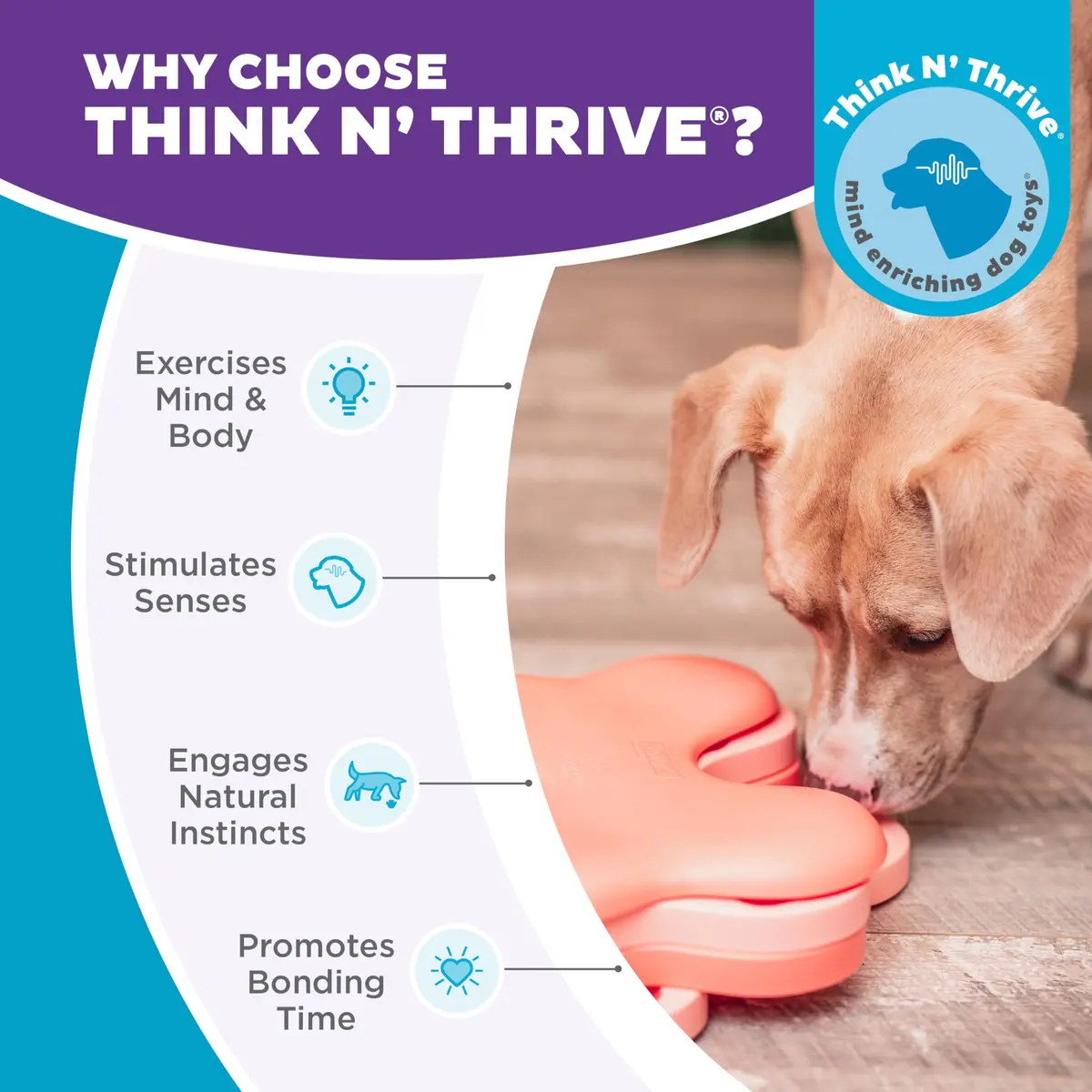 Outward Hound Nina Ottosson Puppy Tornado Puzzle Dog Toy, Level 2, 9.8" | Interactive Treat Challenge for Dogs - view 6