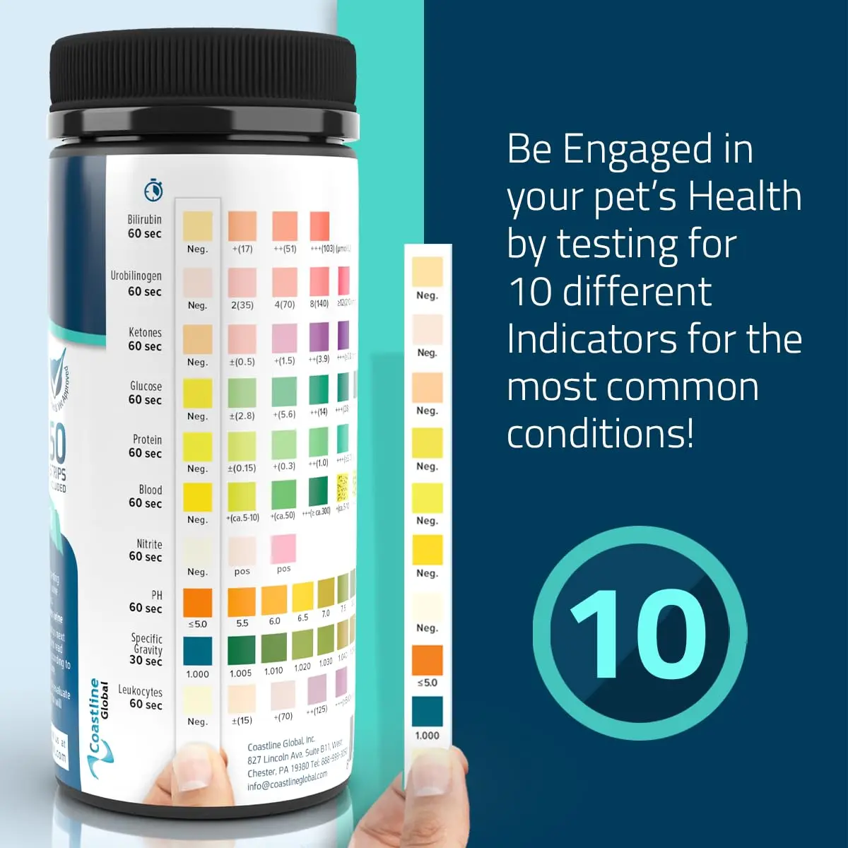 KIT4CAT CheckUp Urine Test Strips for Cats & Dogs, 50 Count | 10 Parameters for Pet Health Monitoring - view 3