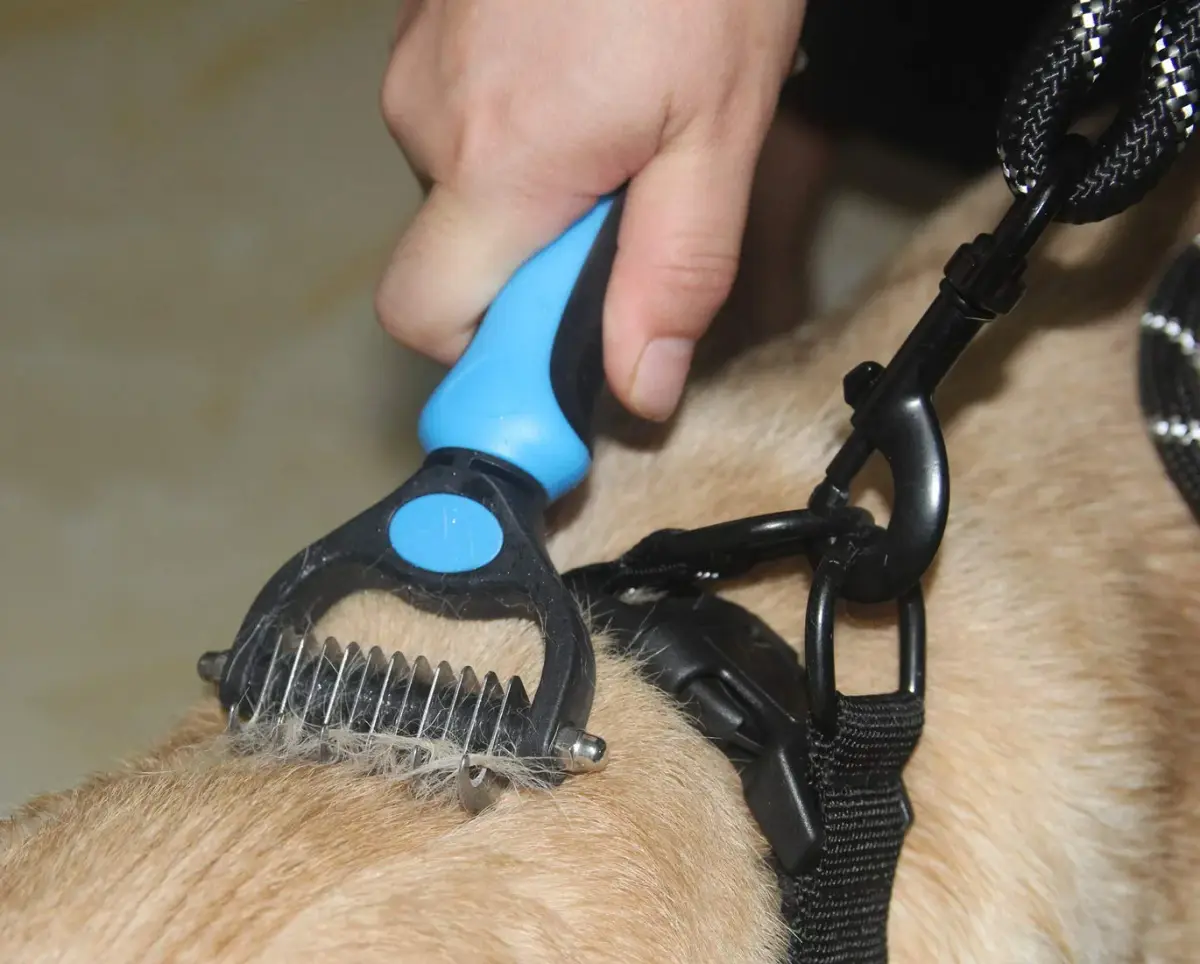 Maxpower Planet Pet Grooming Brush - Double Sided Dematting Undercoat Rake for Dogs and Cats, Small Blue | 118g (0.26 lb) - view 5