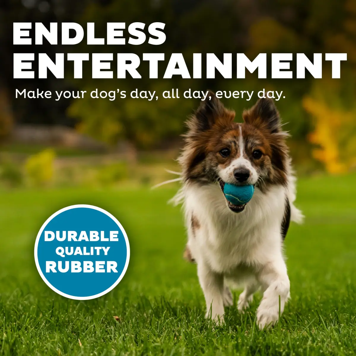 Outward Hound Squeaker Ballz Tennis Ball Dog Toy Small 2" 8-Pack | Durable Rubber Fetch & Squeak Toy for Small Dogs - view 4