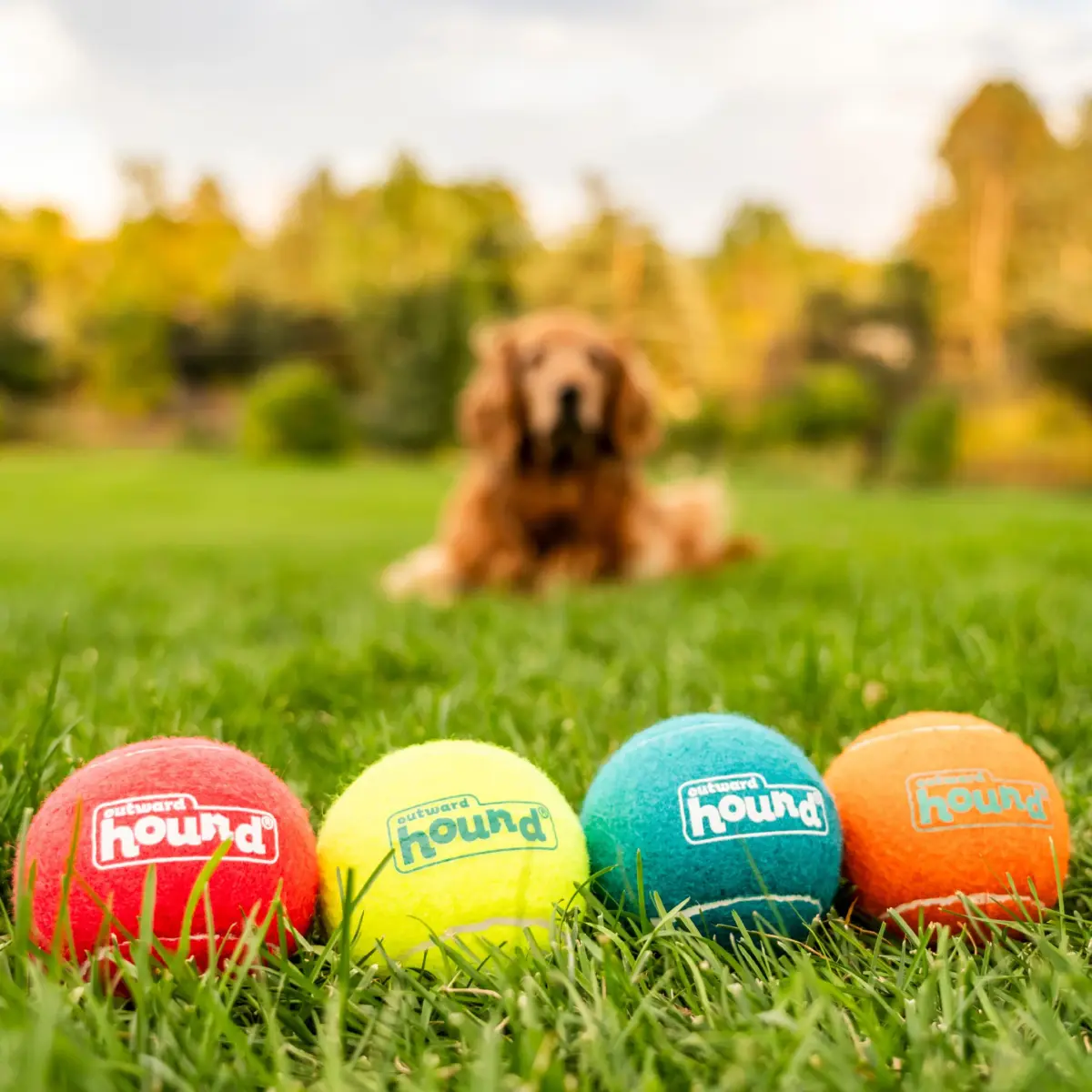 Outward Hound Squeaker Ballz Tennis Ball Dog Toy, Large 3" (7.6 cm) 4-Pack | Durable Fetch & Training Toy - view 5