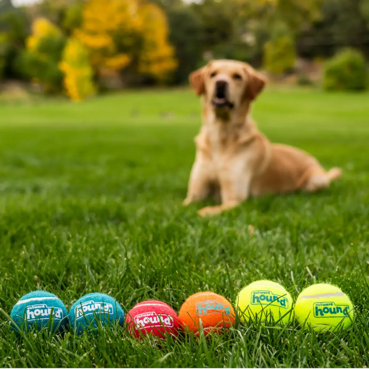 Outward Hound Squeaker Ballz Tennis Ball Dog Toy, Medium 2.5" (6-Pack) | Bright, Bouncy, Squeaky Fetch Toy - view 6