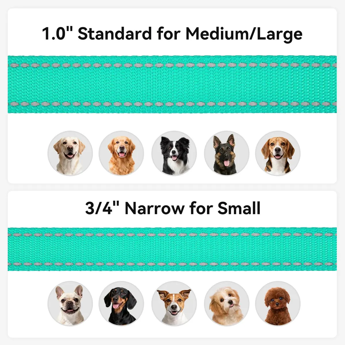 Joytale Reflective Dog Leash 6 ft x 1" Turquoise | Heavy Duty Nylon Webbing, Padded Handle, Visible at Night, for Medium & Large Dogs - view 6