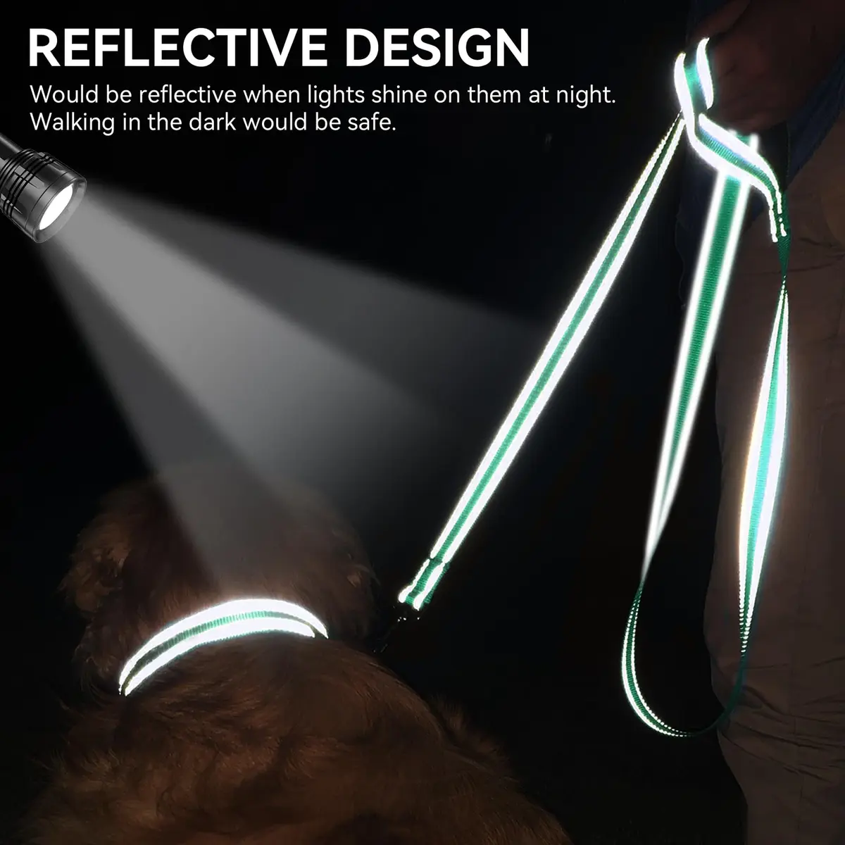 Joytale Reflective Dog Leash 6 ft x 1" Turquoise | Heavy Duty Nylon Webbing, Padded Handle, Visible at Night, for Medium & Large Dogs - view 4