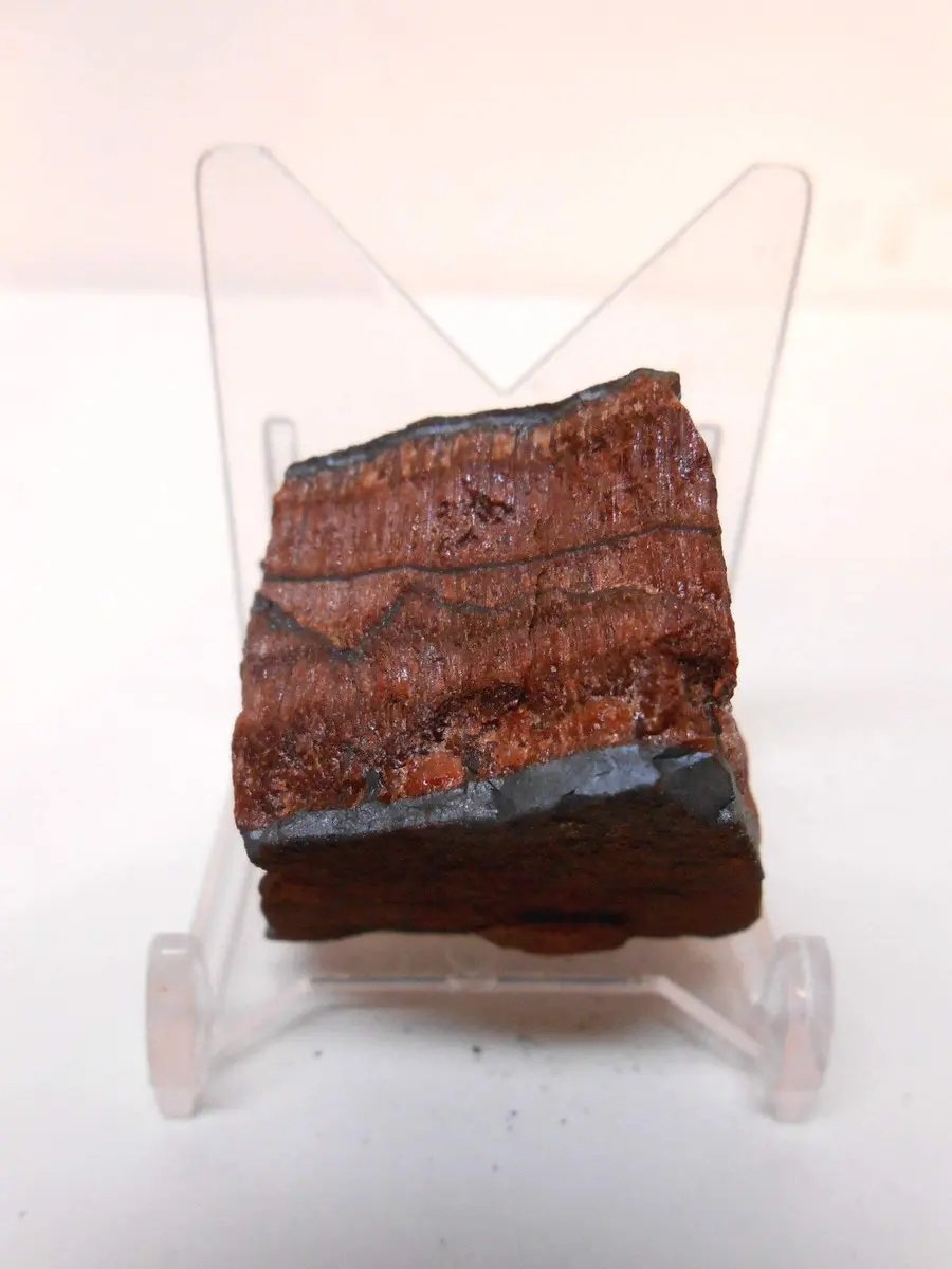 Rockhound's First Choice Rock Tumbler Gem Refill Kit African Red Tiger Eye 8oz | Gemstone Tumbling Rough for Beginners & Hobbyists - view 2