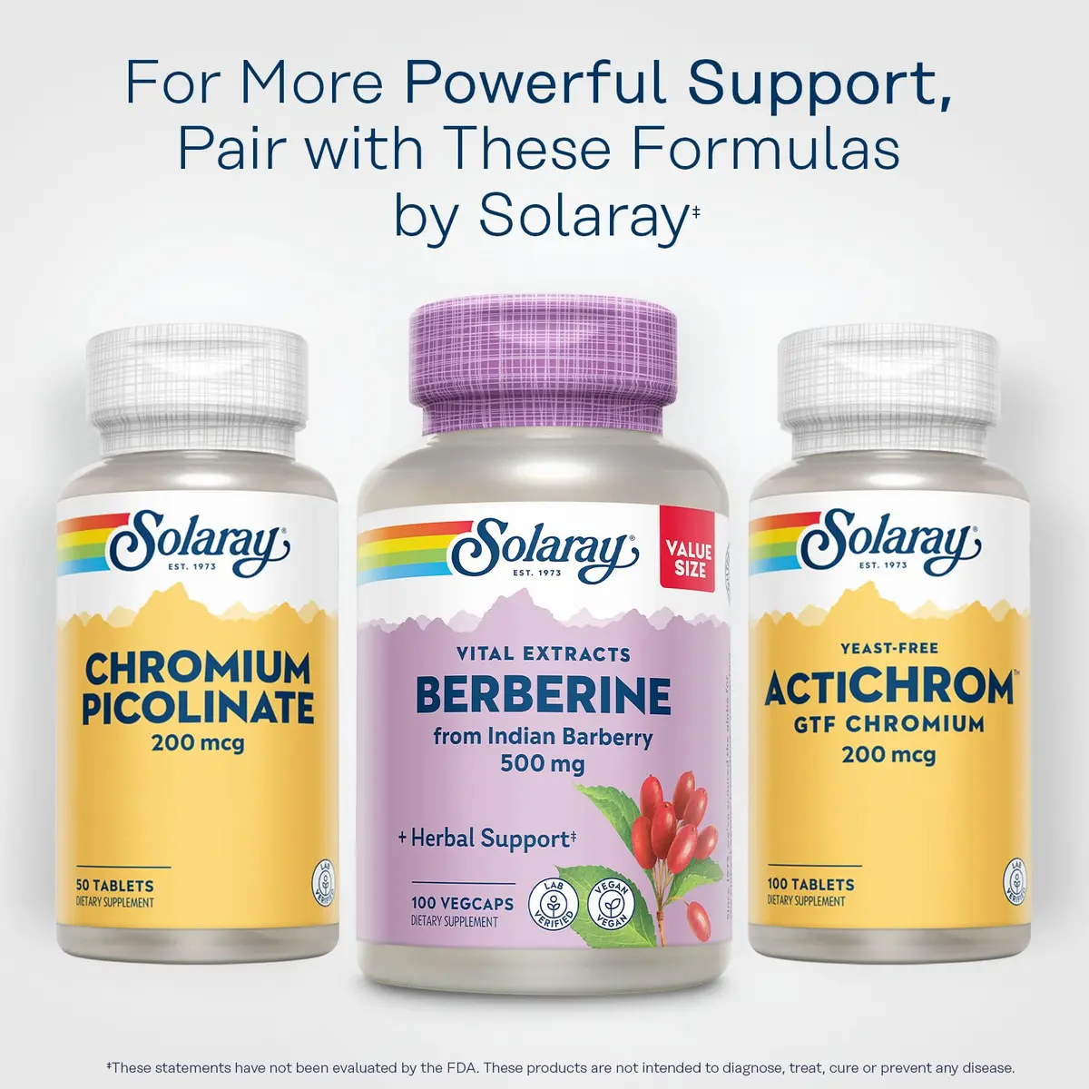 SOLARAY Berberine Extract 500 mg | Vegan Herbal Support for Active Lifestyle (70-120 chars) - view 6
