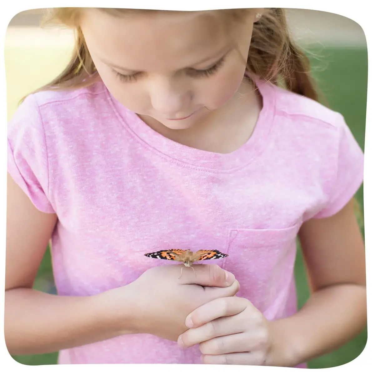 Insect Lore Butterfly Garden with 10 Live Baby Caterpillars & STEM Journal | 29.1 cm (12 inch) Habitat - view 5
