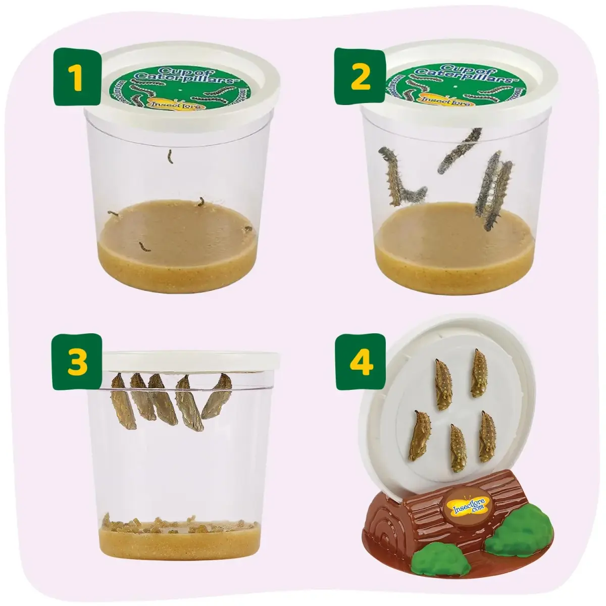 Insect Lore Butterfly Garden with 10 Live Baby Caterpillars & STEM Journal | 29.1 cm (12 inch) Habitat - view 3