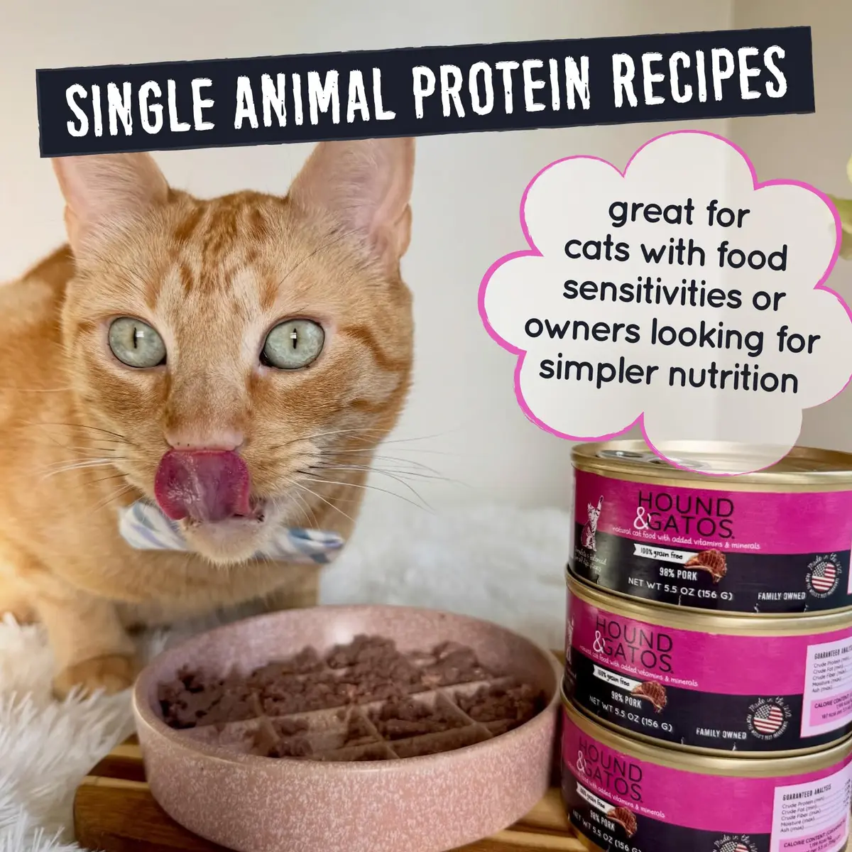 Hound & Gatos Pork Wet Cat Food 5.5 oz Can | 98% Real Meat, Grain-Free, Limited Ingredient for Sensitive Stomachs - view 4