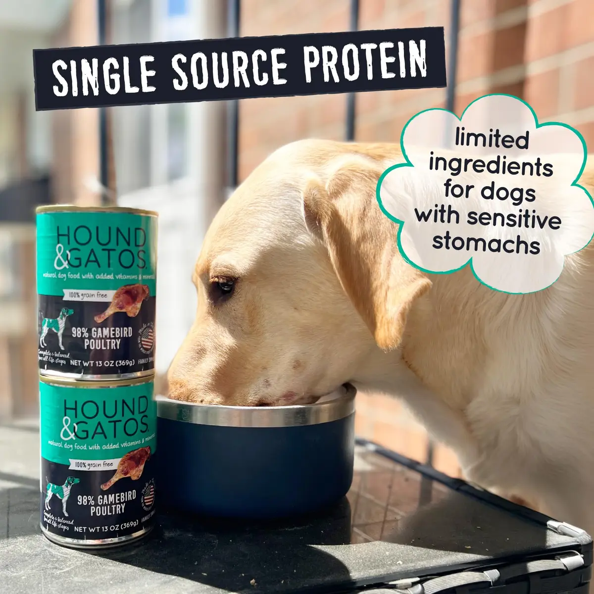 Hound & Gatos Poultry & Gamebird Wet Dog Food 13 oz | High Protein, Digestive Support, Grain Free - view 4