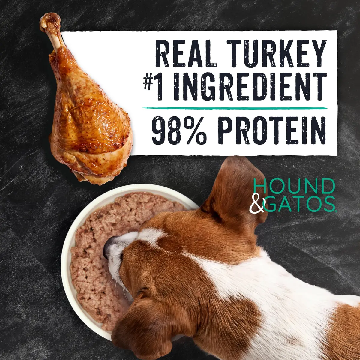 Hound & Gatos Poultry & Gamebird Wet Dog Food 13 oz | High Protein, Digestive Support, Grain Free - view 3