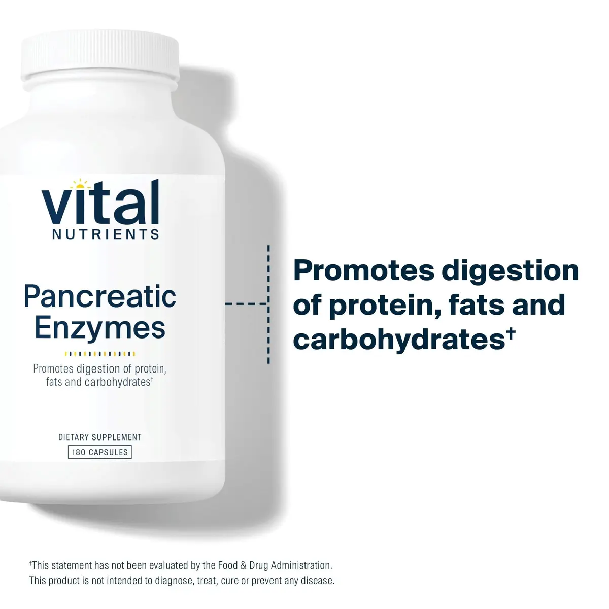 Vital Nutrients Pancreatic Enzymes 1000mg 180 Capsules | Supports Digestion & Nutrient Absorption - view 3