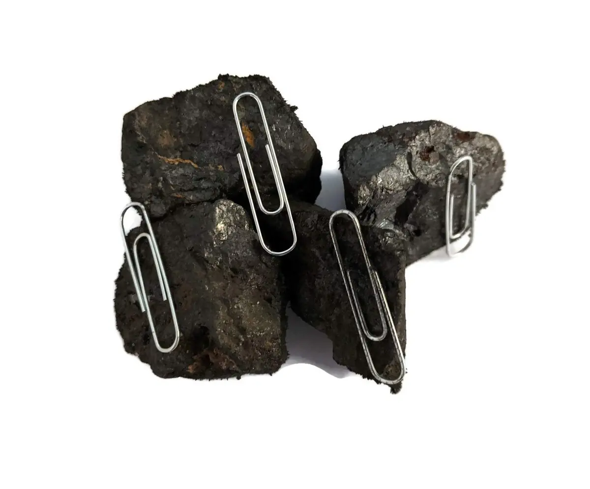The Geode Mine Naturally Magnetic Lodestone 4 Pieces | High Magnetism from Utah, USA - view 3