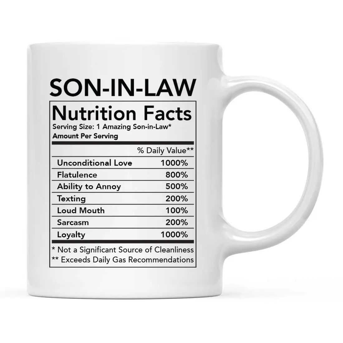 Andaz Press Funny 11oz Ceramic Coffee Tea Mug Thank You Gift Son-in-Law | Novelty Gag Birthday Christmas - main product image