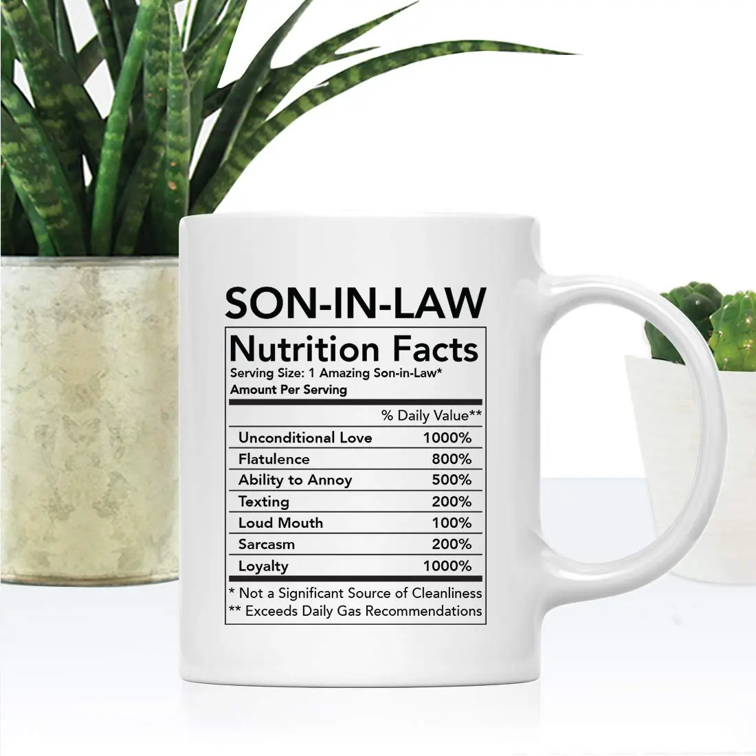 Andaz Press Funny 11oz Ceramic Coffee Tea Mug Thank You Gift Son-in-Law | Novelty Gag Birthday Christmas - view 2