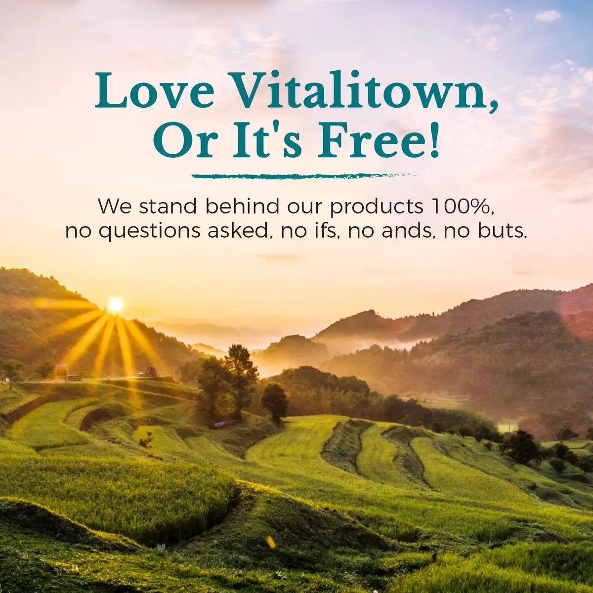 Vitalitown Probiotics 120 Billion CFUs | 36 Strains, with Prebiotics & Digestive Enzymes for Men Women | Shelf Stable | Digestive & Immune Support | Vegan, Non-GMO | 30 Delayed Release Veg Caps - view 9